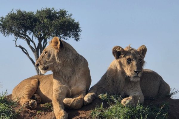 africa travel itinerary