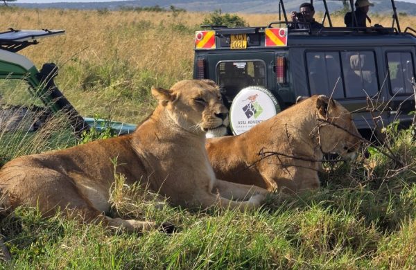 africa travel itinerary
