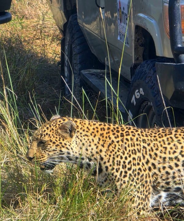 africa travel itinerary