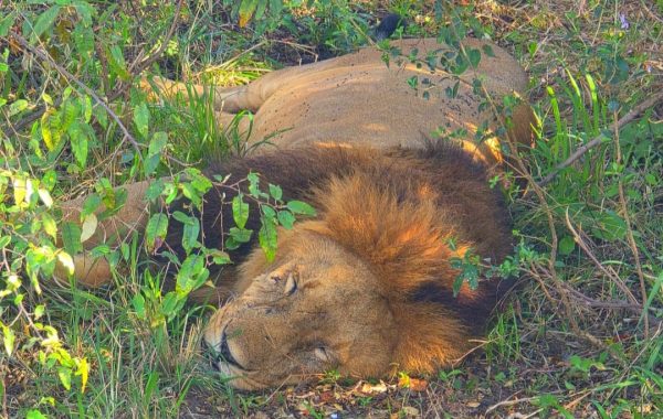africa travel itinerary