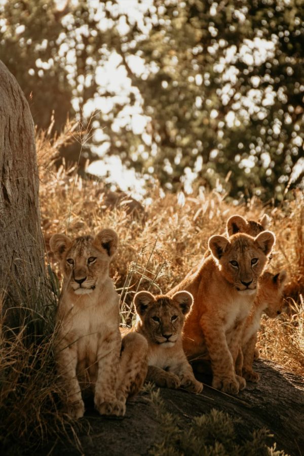 africa travel itinerary