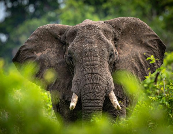 africa travel itinerary