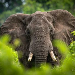 africa travel itinerary